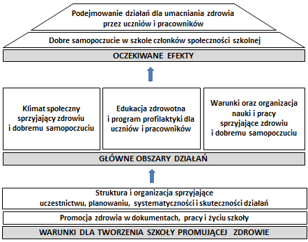 polski model szkoly promujacej zdrowie
